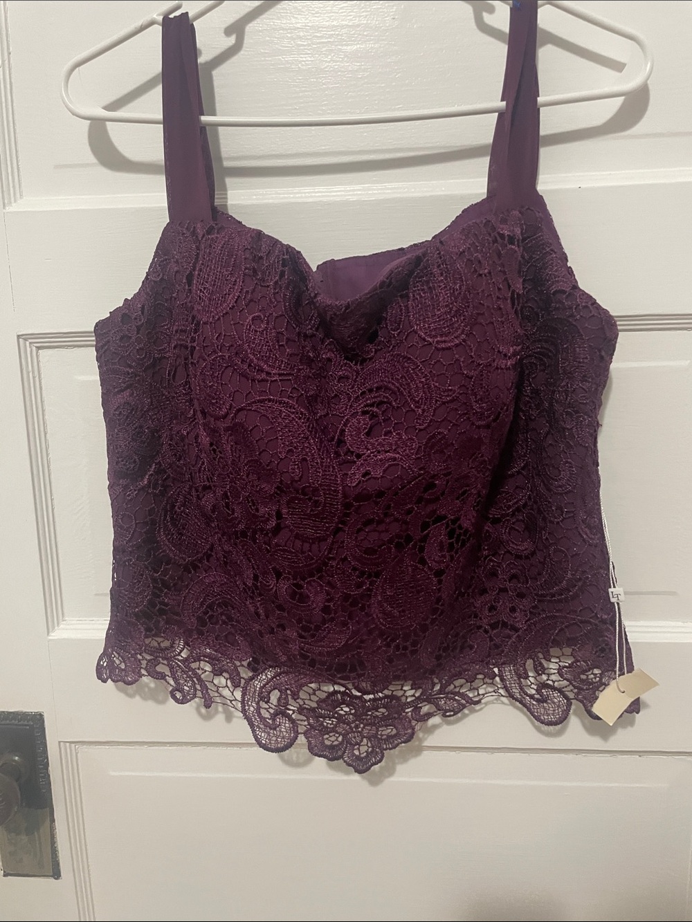 LanTing Bride Women's Plum Crop Top